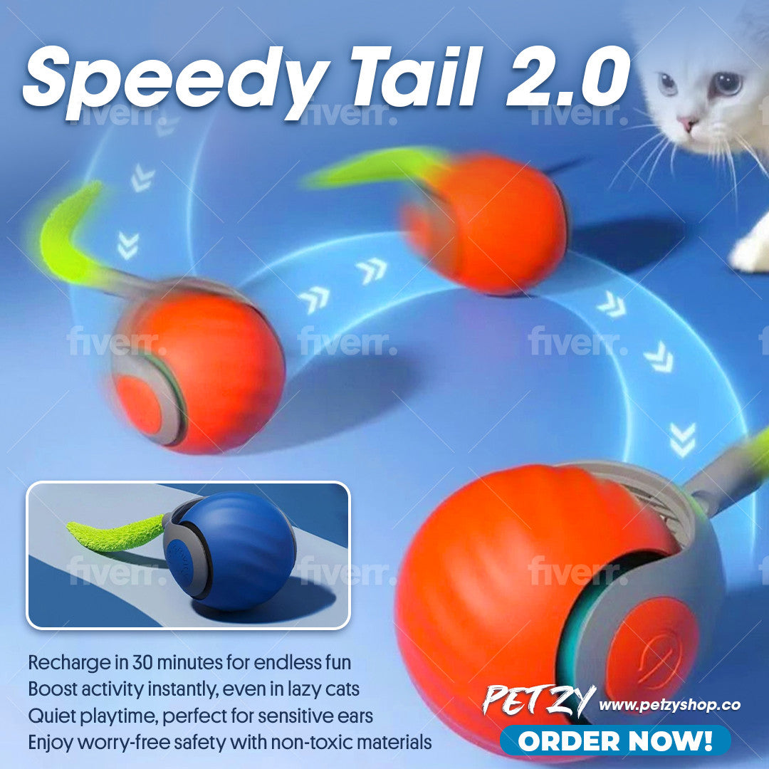 Speedy Tail 2.0